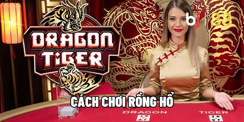 Cách chơi rồng hổ